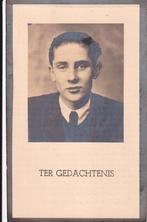 Hal Theodorus 1931 Den Bosch 1950 Liempde  ongeval, Ophalen, Bidprentje