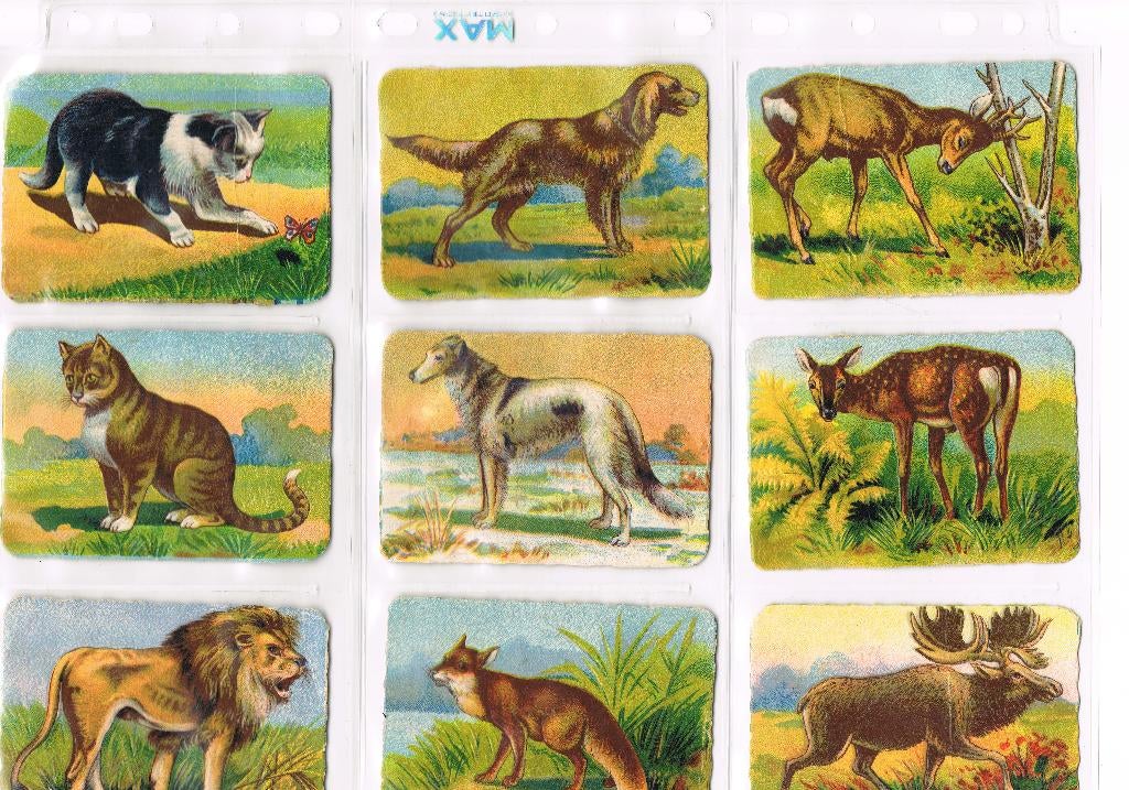 H.Smith's Koffie & Thee - 18 Dierenalbum plaatjes -zie lijst, Ophalen of Verzenden, Overige typen