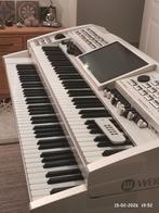 WERSI Orgel OAX1 Twin - Zo goed als nieuw... Parelmoer wit, Ophalen, Zo goed als nieuw, 2 klavieren, Orgel