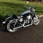 Harley Davidson 2004 XL 53C Custom sportster 883 carb NL mot, D
d  d, NL, 1@2.nl, Bedrijf, 883 cc