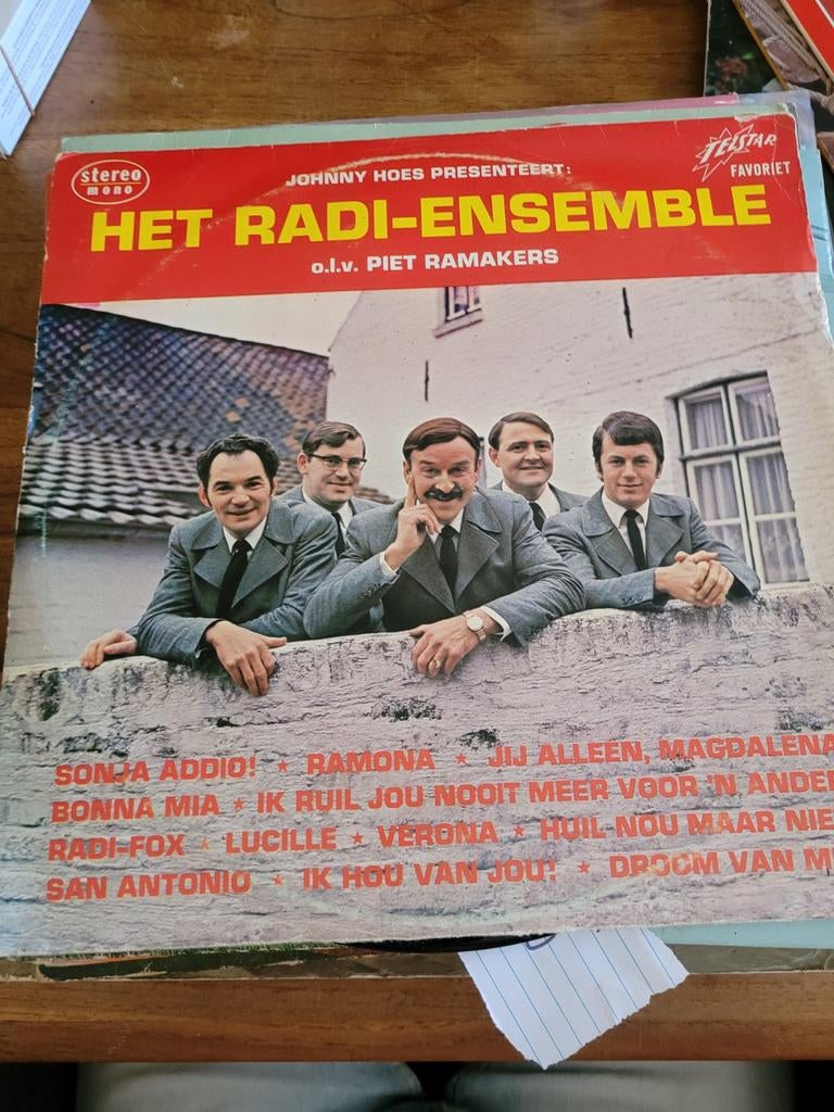 Het radi ensemble, Cd's en Dvd's, Vinyl | Nederlandstalig, Ophalen of Verzenden, Zo goed als nieuw, Overige formaten, Levenslied of Smartlap