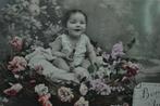 frankrijk 1916 baby meisje vogelnest rozen seringen, Ophalen of Verzenden, Voor 1920, Gelopen, Sterren en Beroemdheden