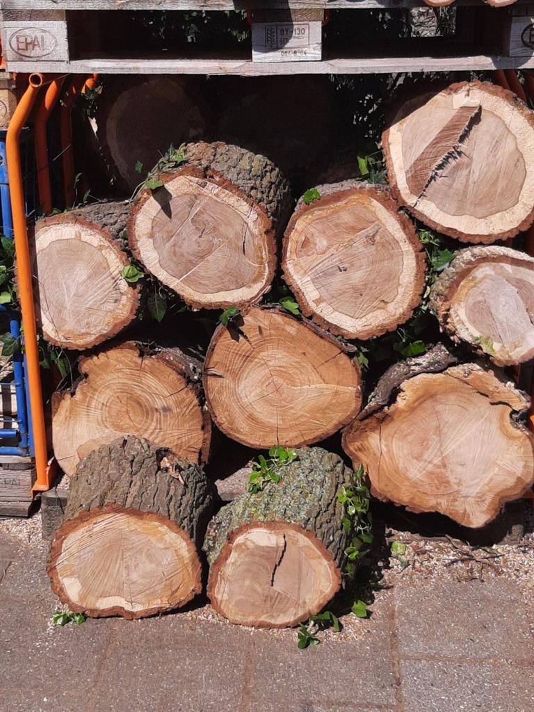 Mooi eikenhout voor de kachel of decoratie, 3 tot 6 m³, Ophalen, Eikenhout, Blokken