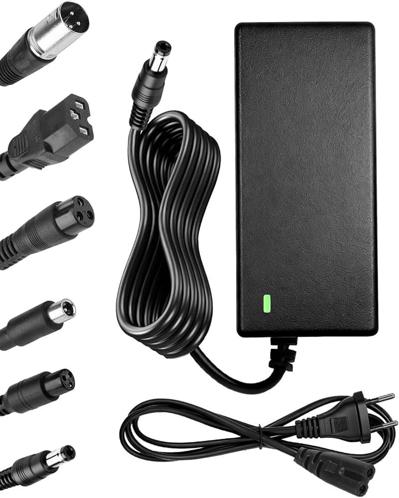 PROFESSIONELE LADERS E-bikes steps Laptops  12V t/m 91V, Ophalen of Verzenden, Zo goed als nieuw