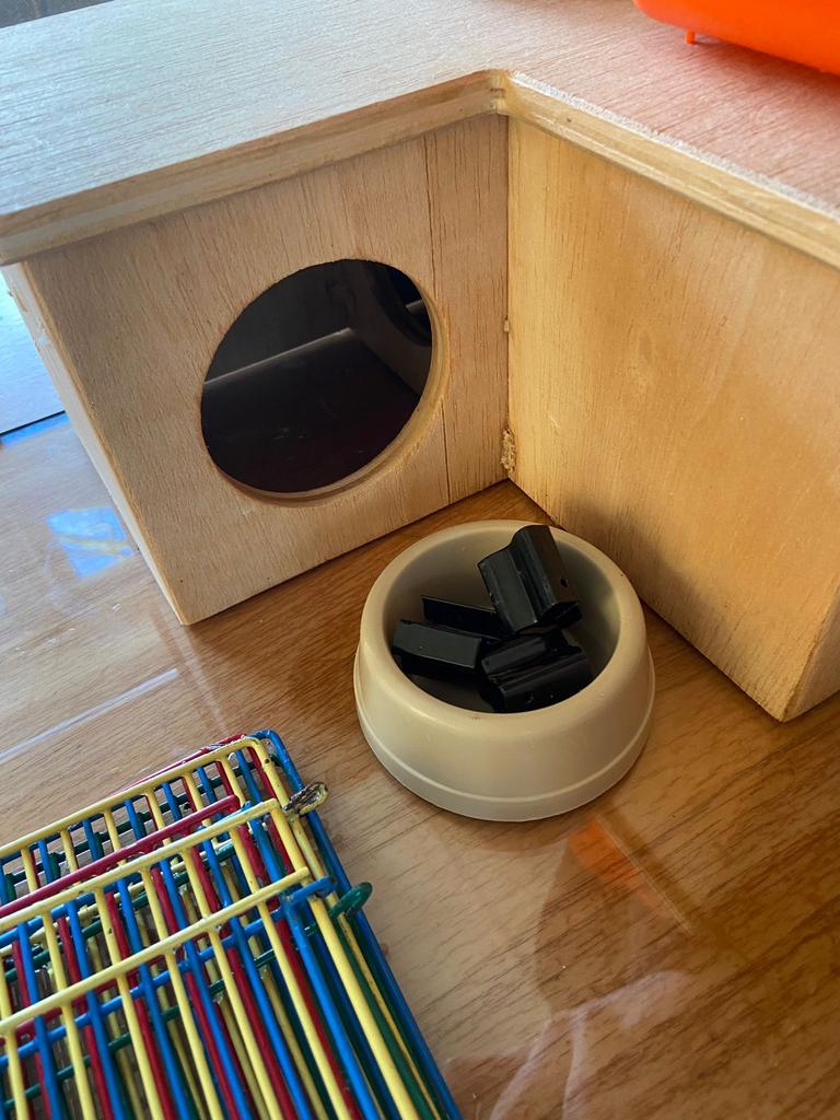 Kooi Hamster met veel accessoires, Dieren en Toebehoren, Kooi, Zo goed als nieuw, Hamster, 75 tot 110 cm