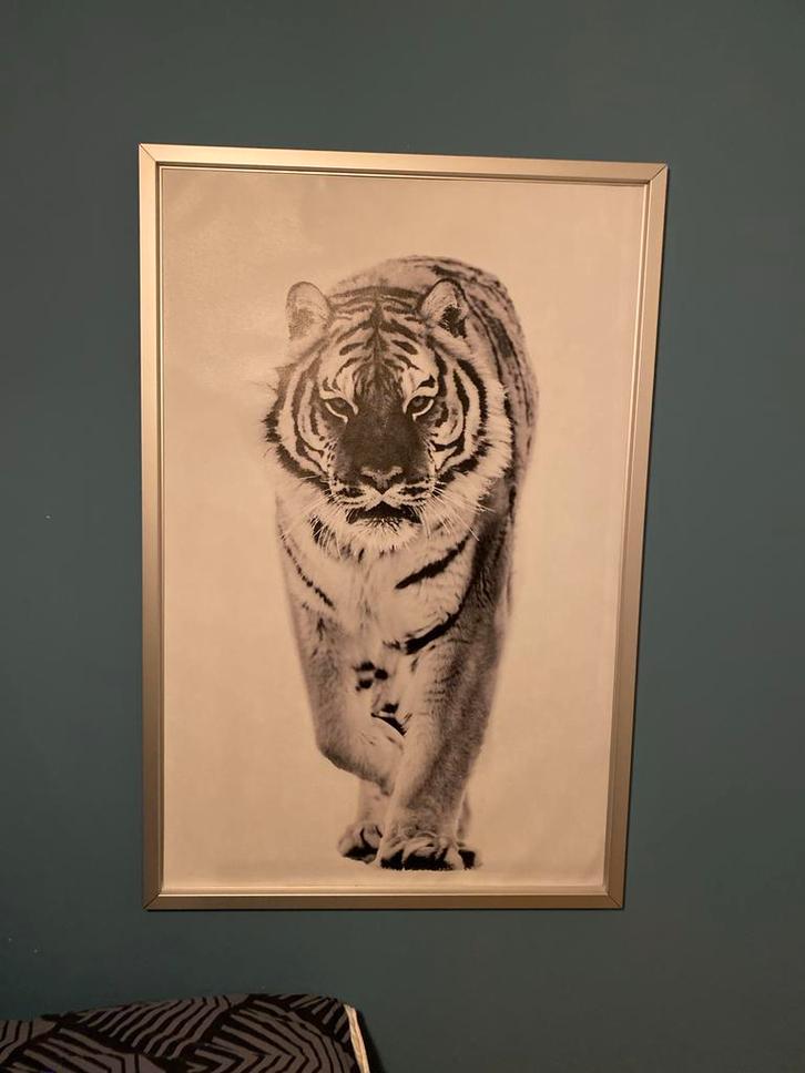 IKEA wanddecoratie tijger - zwart-wit, Huis en Inrichting, Woonaccessoires | Wanddecoraties, Zo goed als nieuw, Ophalen