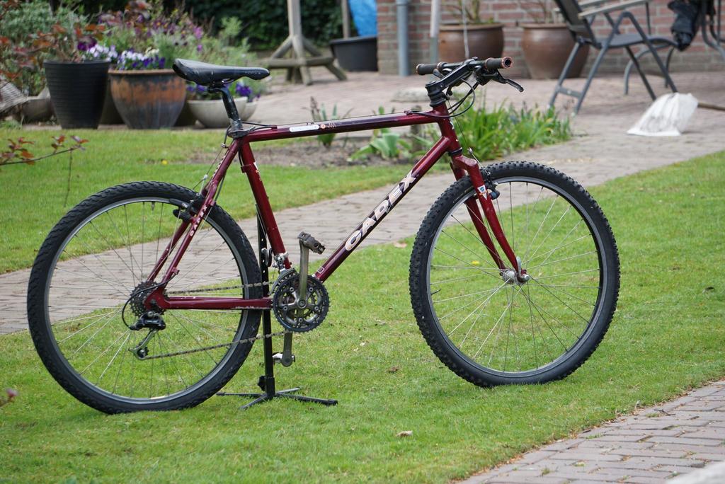 Giant cadex carbon mountainbike mtb atb, Fietsen en Brommers, Fietsen | Mountainbikes en ATB, Ophalen, Gebruikt, Heren, 49 tot 53 cm