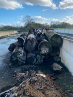 Brandhout Populieren hout, 3 tot 6 m³, Ophalen, Overige houtsoorten, Stammen