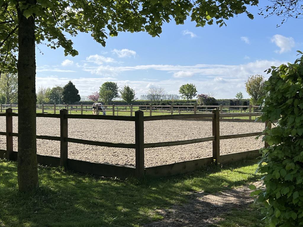 Stallen te huur 5 tot 15 stallen, Stalling, 4 paarden of pony's of meer