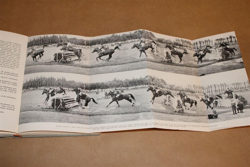 De Verlichte Zit [1965] — Standaardwerk over paardensport, Ophalen of Verzenden, Gelezen