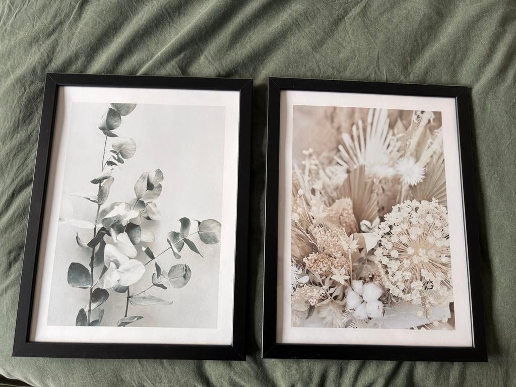 Posters 30x40 cm Droogbloemen en Eucalyptus, Ophalen, Rechthoekig Staand, Met lijst, Zo goed als nieuw
