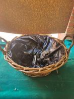 plantenmand rotan met plastic groot, Ophalen of Verzenden, 'T Olde Gre-j, Info@toldegrej.nl, Endepoelstraat 20f Didam