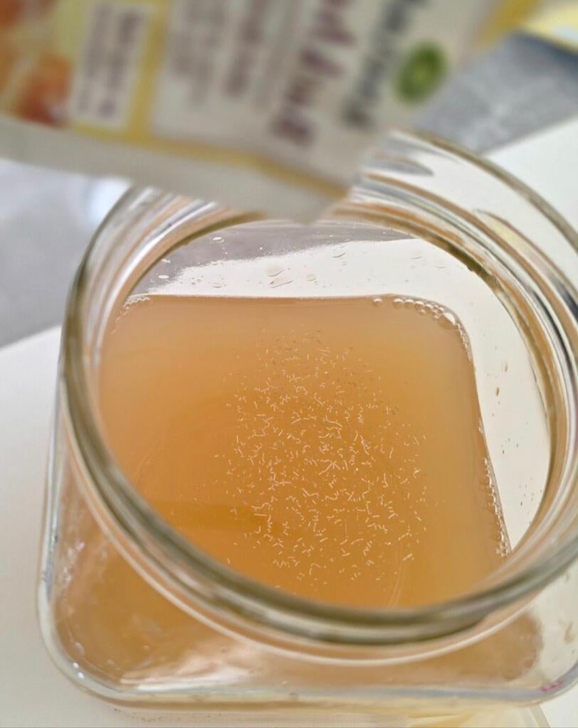 Azijnaaltjes, Dieren en Toebehoren, Vissen | Aquaria en Toebehoren, Ophalen of Verzenden