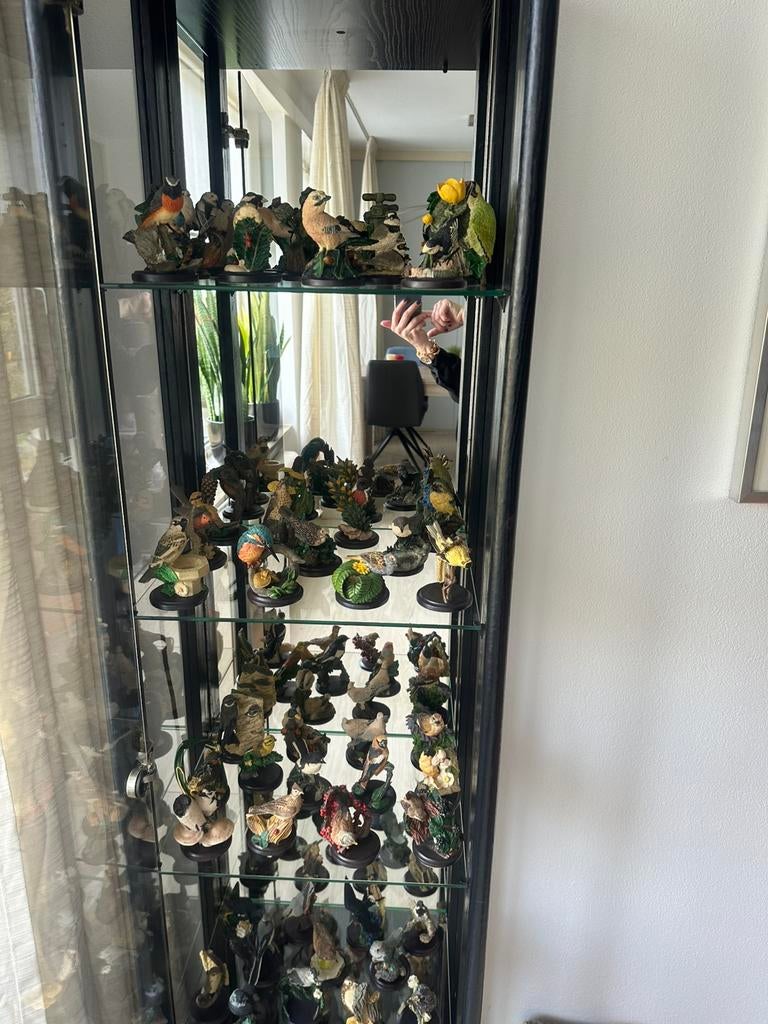 Andy pearce vogels met vitrine kast, Verzamelen, Ophalen, Zo goed als nieuw, Vogel, Beeldje of Figuurtje