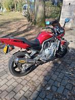 Yamaha Fazer 1000 2001, Particulier