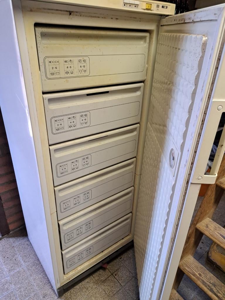 Vriezer met 6 laden - Bosch vrieskast, Witgoed en Apparatuur, Vriezers en Diepvrieskisten, Vrieskast, Gebruikt, Minder dan 60 cm