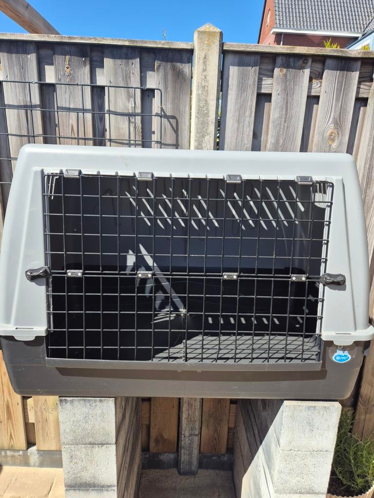 Autobench, transportbox hond, bench middelgrote/grote hond, Ophalen