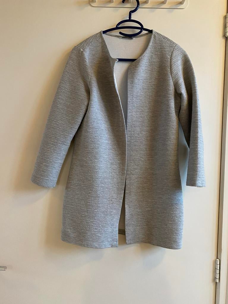 Grijs vest, Ophalen of Verzenden, Zo goed als nieuw, Maat 38/40 (M), Grijs