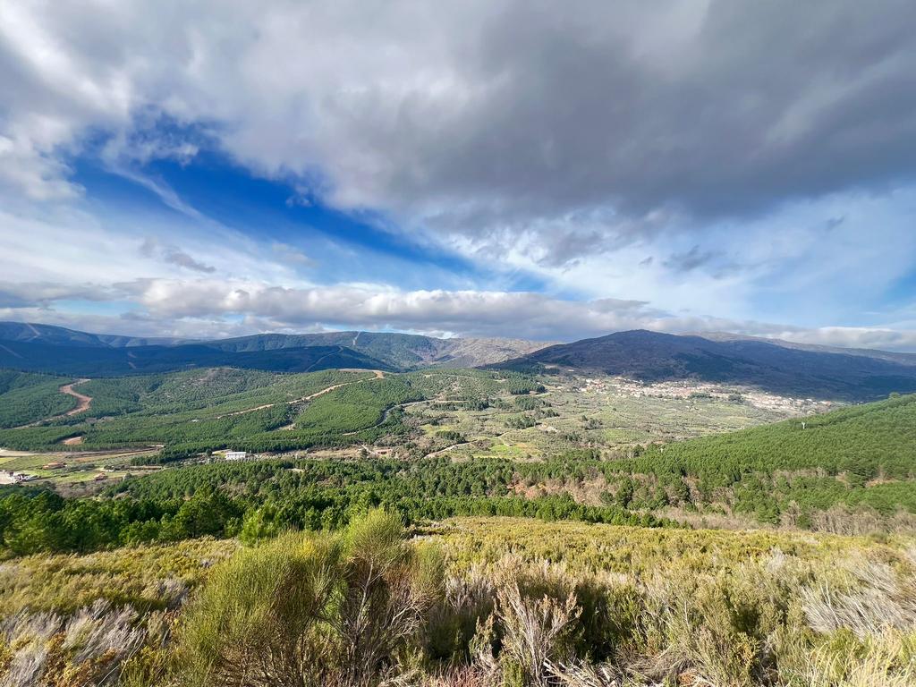 Te koop: Finca met 400 olijfbomen en ruïne in Sierra de Gata, Vakantie, Overige typen, In bergen of heuvels, Midden en Binnenland