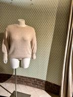 Plus size dames paspop, winkel inrichting, kleding verkoop, Ophalen, IL Fienile, Info@ilfienile.nl, Hoofdstraat 15 de steeg