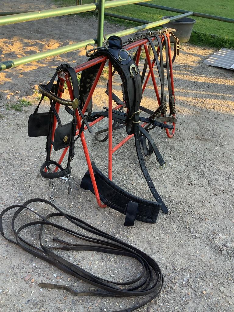 Zwart tuig full., Dieren en Toebehoren, Ophalen of Verzenden, Gebruikt, Overige soorten