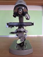 Vintage microscoop Olympus Tokyo - Gebr. Paes Leiden, Ophalen of Verzenden