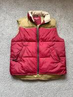 Rode bodywarmer Forecast maat M, Kleding | Dames, Bodywarmers, Maat 38/40 (M), Forecast, Ophalen of Verzenden, Gedragen