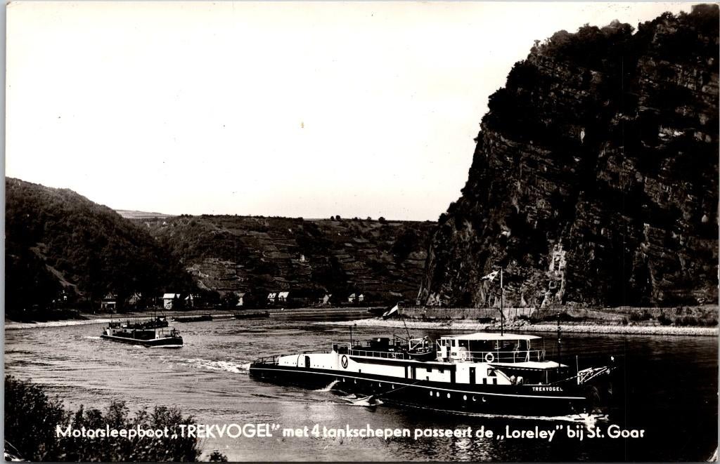 Rotterdam PHs. van Ommeren - M. Slb. Trekvogel, Verzamelen, Verzenden, 1960 tot 1980, Ongelopen, Zuid-Holland