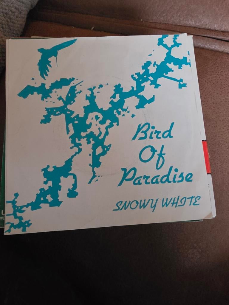 Snowy White - Bird Of Paradise  Single), Ophalen of Verzenden, Gebruikt, Poprock