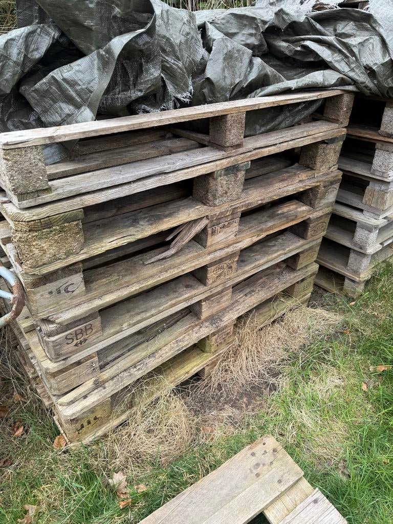 Partij pallets, 7 europallets en 7 andere pallets, Doe-het-zelf en Verbouw, Platen en Panelen, Ophalen, Gebruikt, Hout, 100 mm of meer