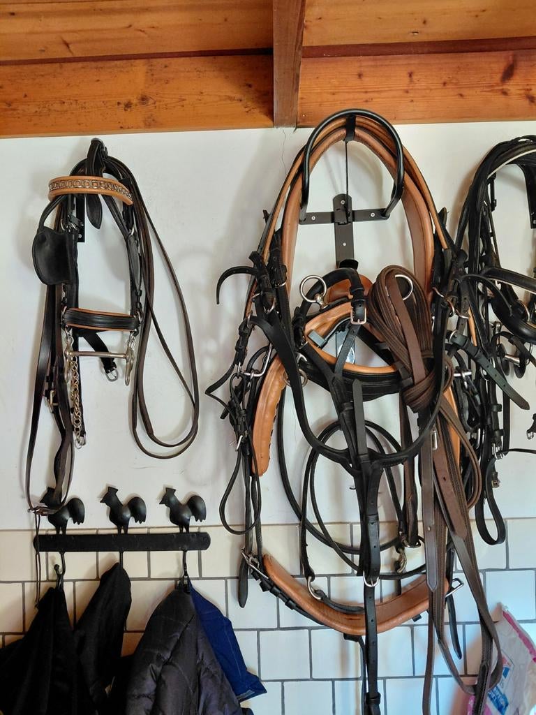 Mentuig kleine pony, Ophalen of Verzenden, Gebruikt, Overige soorten