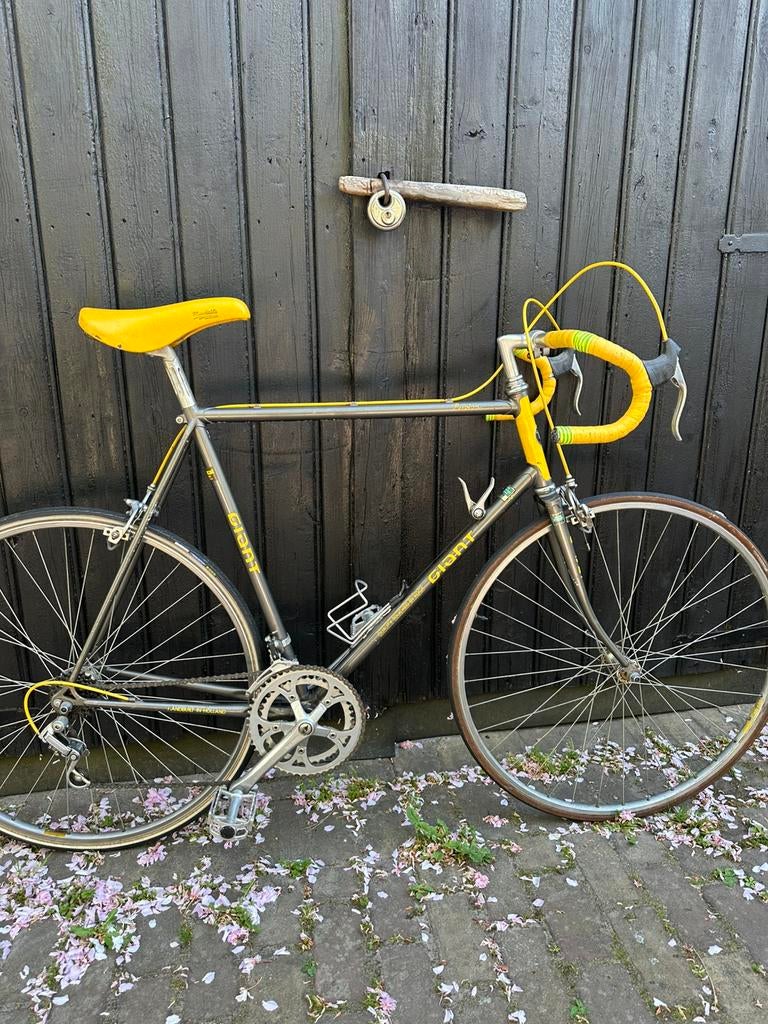 Giant Peloton ,,vintage”, 55 tot 59 cm, Ophalen of Verzenden, Velgrem, Jaren '60 of nieuwer