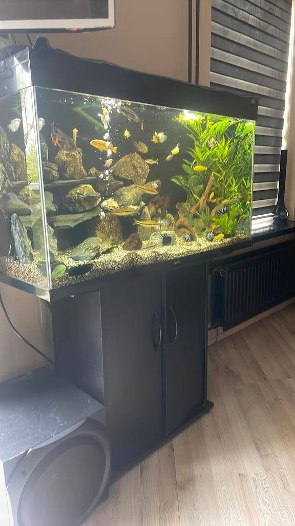 groot aquarium 180, Dieren en Toebehoren, Vissen | Aquaria en Toebehoren, Ophalen, Zo goed als nieuw, Leeg aquarium