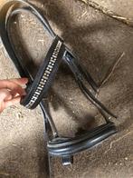 Mini shetlander/shetlander hooftstel, Ophalen of Verzenden, Zo goed als nieuw, Overige soorten