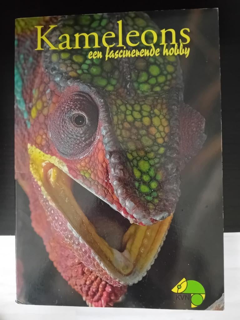 Kameleons een fascinerende hobby, Ophalen of Verzenden, Zo goed als nieuw, Reptielen of Amfibieën, Kvn