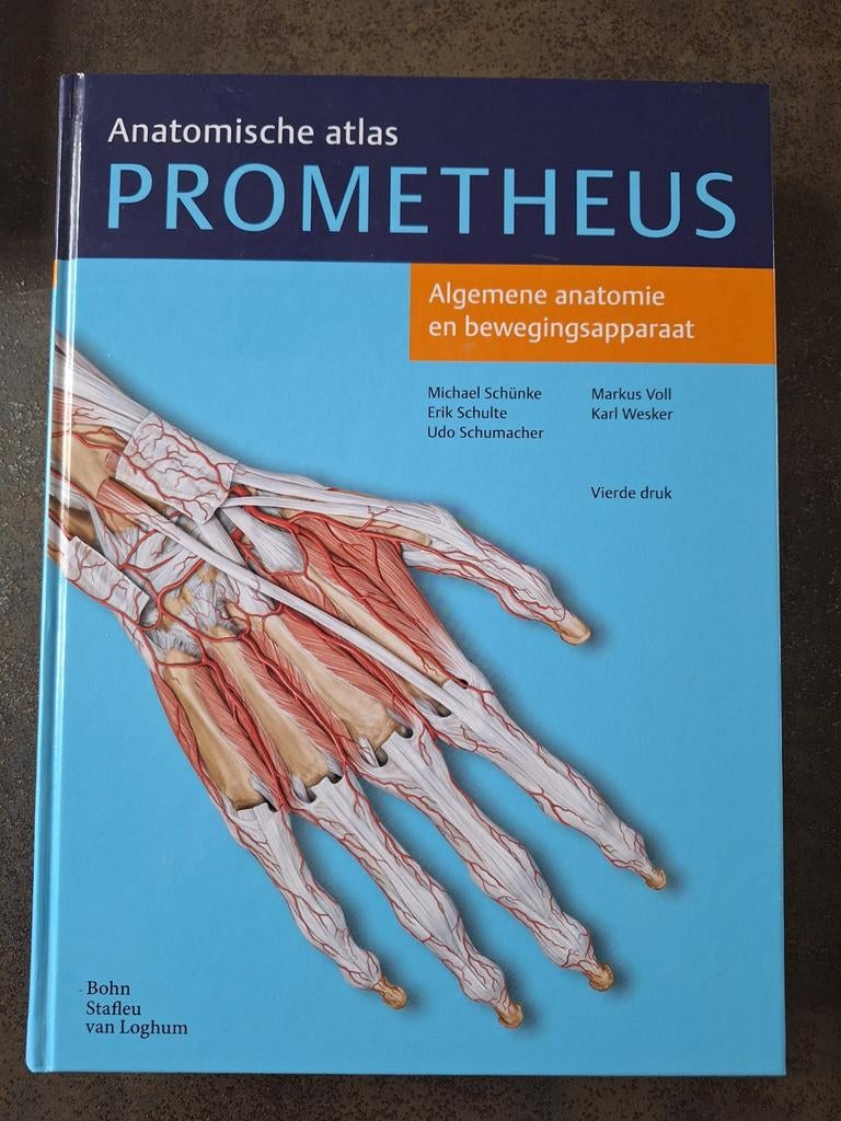 Anatomische atlas PROMETHEUS -  algemen anatomie, Zo goed als nieuw, Michael Schünke, Erik Schulte e.a., Beta, HBO