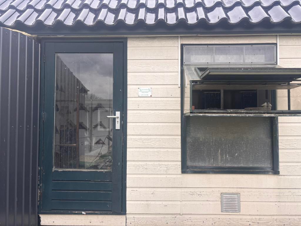 Duivenhok, Vrouwelijk, Postduif