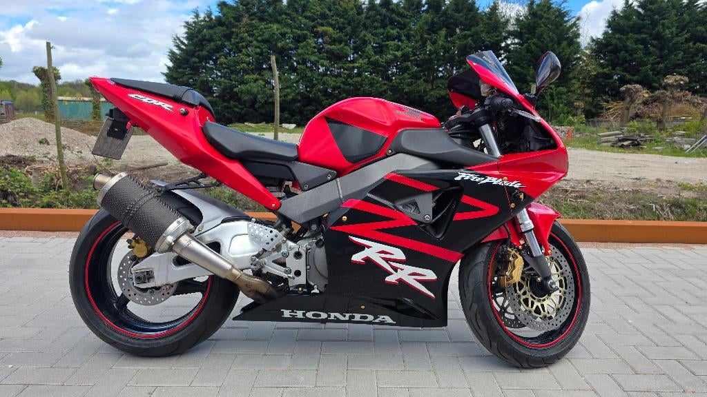 honda fireblade 954.