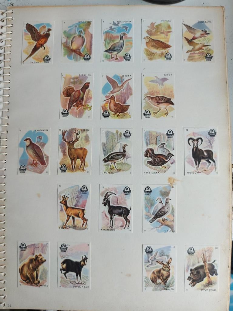 Plakboek met diverse lucifermerken - Unieke verzameling, Ophalen of Verzenden, Gebruikt, Luciferdoosjes of -merken
