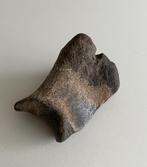 FOSSIELEN MAMMOET BOTTEN, Ophalen, Fossiel