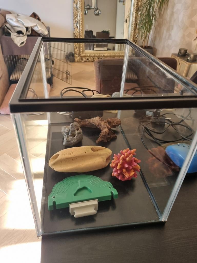 Aquarium met deksel + toebehoren, Dieren en Toebehoren, Vissen | Aquaria en Toebehoren, Ophalen of Verzenden, Inclusief toebehoren