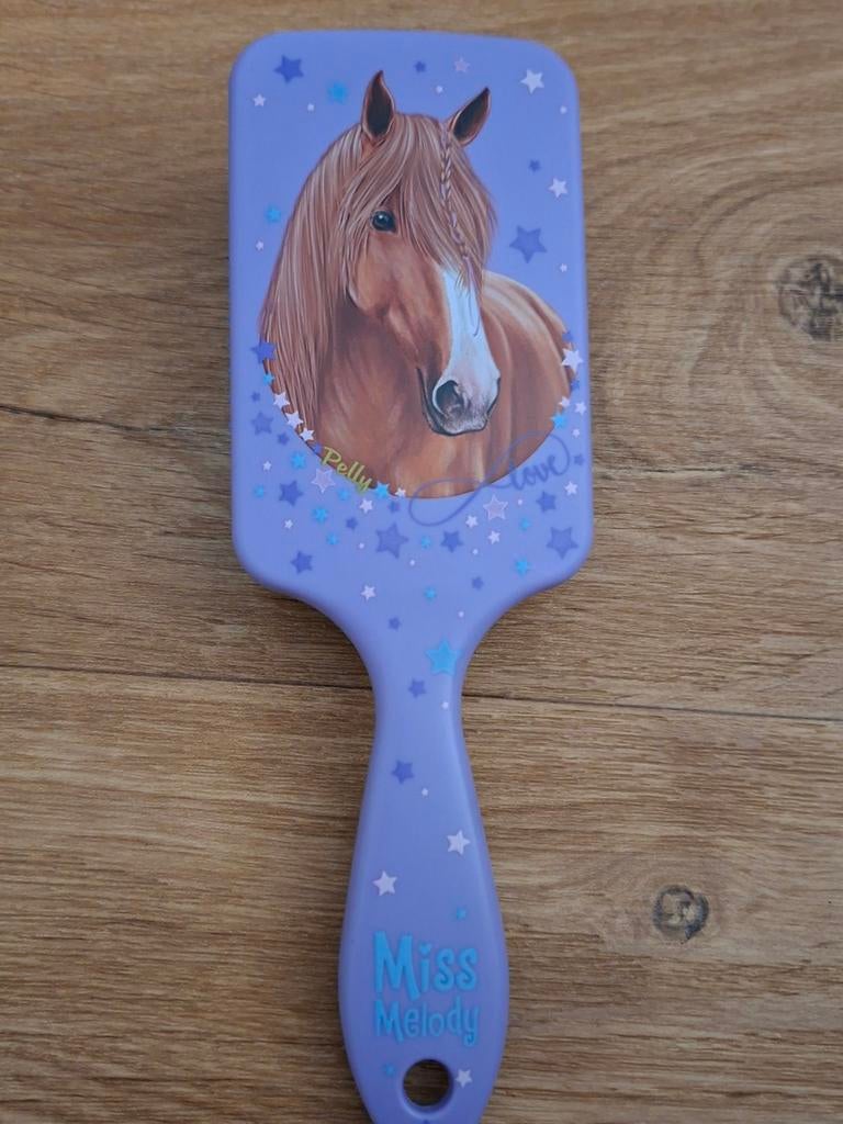 Haarborstel meisjes Miss Melody nieuw, Ophalen of Verzenden, Nieuw, Miss Melody