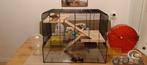 Hamsterkooi met complete hamsterbenodigdheden, Dieren en Toebehoren, Knaagdieren en Konijnen | Hokken en Kooien, Minder dan 60 cm