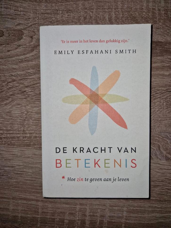 De kracht van betekenis - Emily Esfahani Smith, Boeken, Psychologie, Zo goed als nieuw, Verzenden