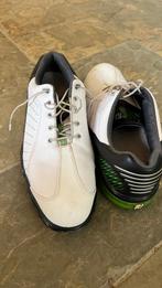 FootJoy golf schoenen mt 46, Sport en Fitness, Golf, Ophalen of Verzenden, Gebruikt, Schoenen, Overige merken
