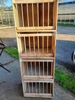 Broedkooien duiven, Dieren en Toebehoren, Vogels | Duiven, Meerdere dieren, Postduif