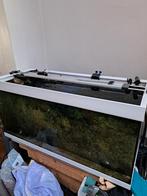 Aquarium HxBxD is 49x101x41, Ophalen, Zo goed als nieuw