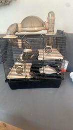 Dwerghamster kooi, Dieren en Toebehoren, Minder dan 60 cm, Kooi, Gebruikt, Minder dan 75 cm
