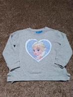 Frozen trui Elza en Anna meisjes maat 110, Disney, Meisje, Trui of Vest, Ophalen of Verzenden