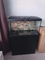 Vis aquarium, Ophalen, Zo goed als nieuw, Leeg aquarium